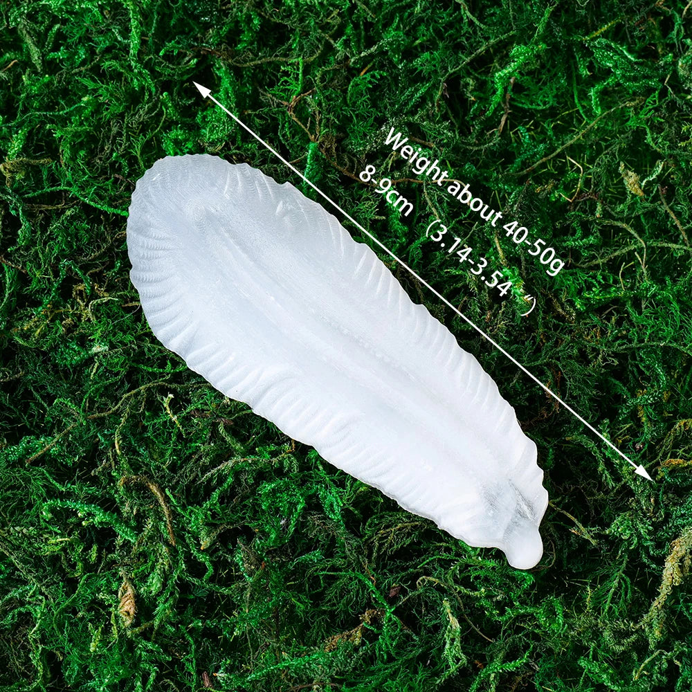 Natural Selenite Feather Crystal