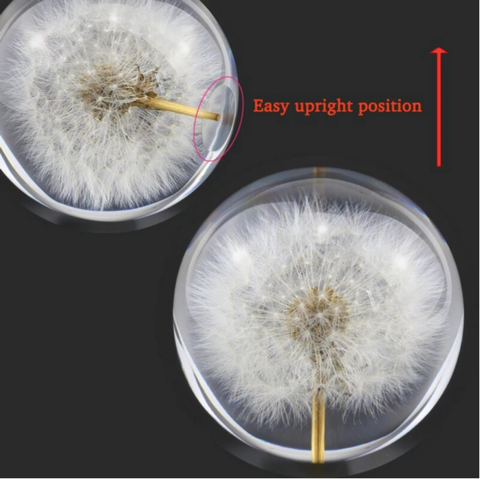 Real Dandelion Crystal Glass Resin Lens Ball 80cm