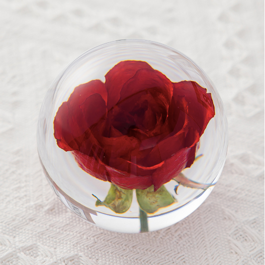 Natural Flowers Crystal Lens Ball (6 Styles)