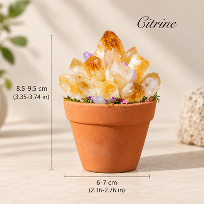 Natural Crystal Cluster with Planter Pot