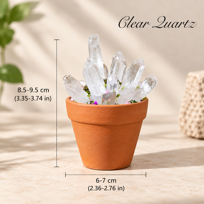 Natural Crystal Cluster with Planter Pot