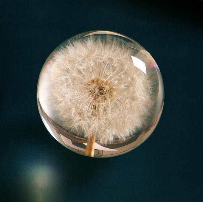Real Dandelion Crystal Glass Resin Lens Ball 80cm Crystolver