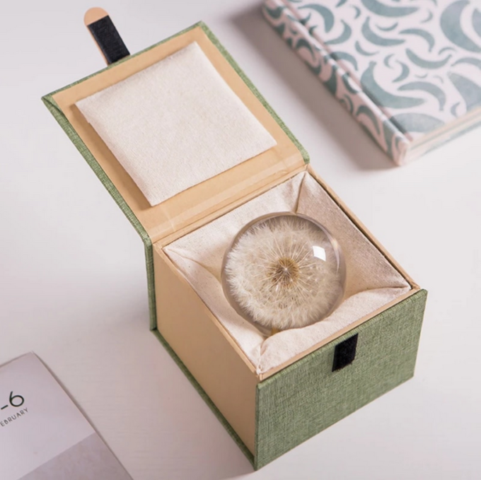 Real Dandelion Crystal Glass Resin Lens Ball 80cm