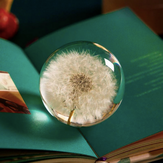 Real Dandelion Crystal Glass Resin Lens Ball 80cm