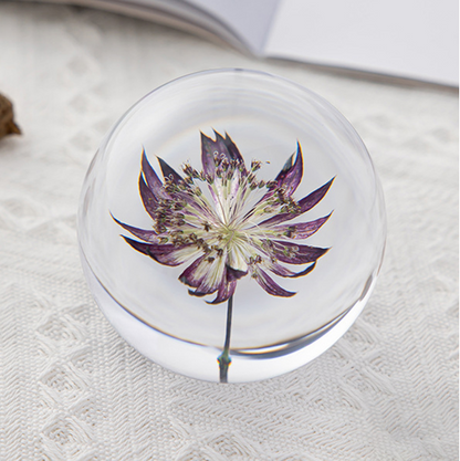 Natural Flowers Crystal Lens Ball (6 Styles)