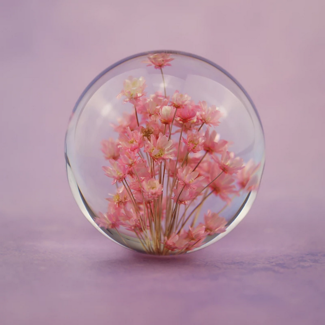 Real Daisy Crystal Lens Ball