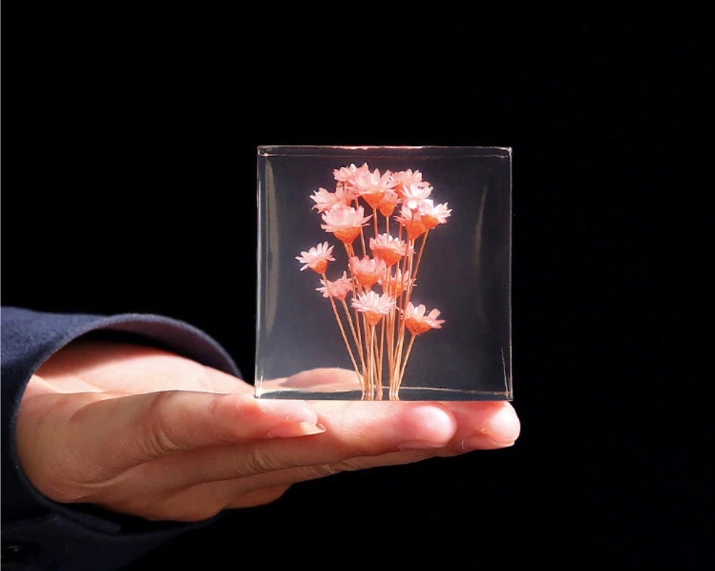 Real Dandelion Crystal Cube